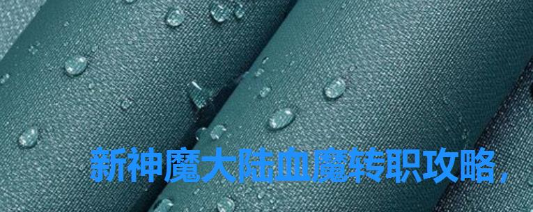 新神魔大陆血魔转职攻略,新神魔大陆怎么换职业转职怎么更换 新神魔大陆血魔转职攻略,新神魔大陆怎么换职业转职怎么更换
