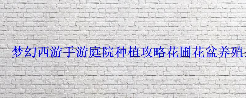 梦幻西游手游庭院种植攻略花圃花盆养殖果实奖励