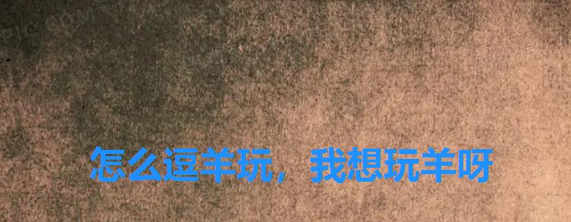 怎么逗羊玩，我想玩羊呀