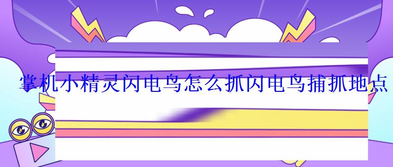 掌机小精灵闪电鸟怎么抓闪电鸟捕抓地点 掌机小精灵闪电鸟怎么抓闪电鸟捕抓地点