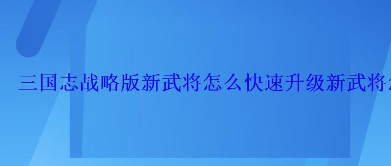 三国志战略版新武将怎么快速升级新武将怎么练级比较 三国志战略版新武将怎么快速升级新武将怎么练级比较