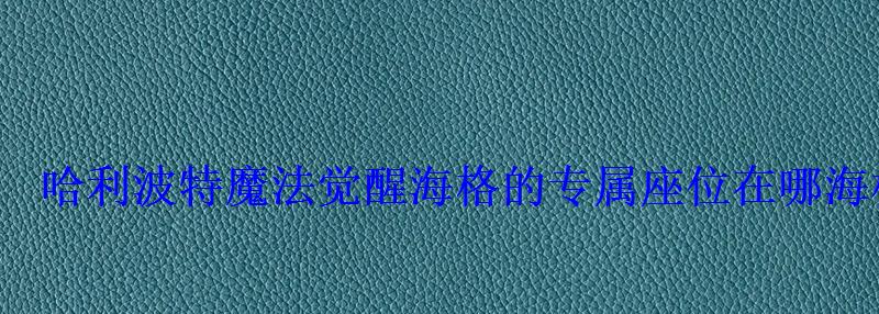 哈利波特魔法觉醒海格的专属座位在哪海格的专属座位位置 哈利波特魔法觉醒海格的专属座位在哪海格的专属座位位置