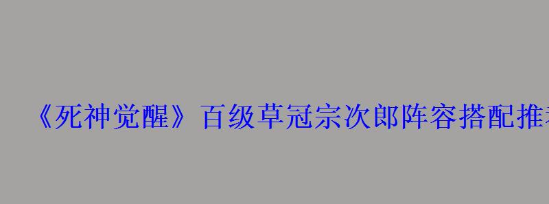 《死神觉醒》百级草冠宗次郎阵容搭配推荐
