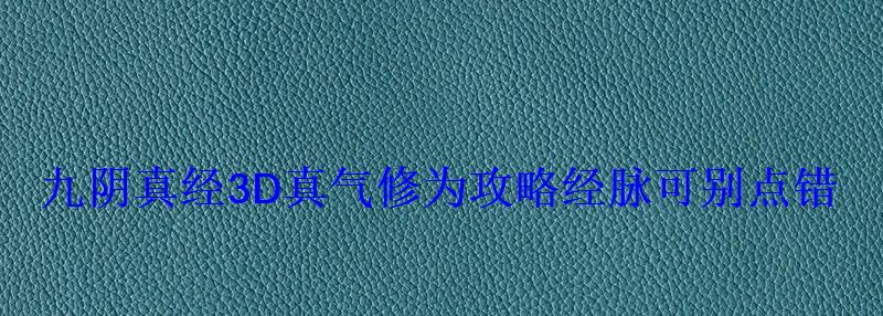 九阴真经3D真气修为攻略经脉可别点错 九阴真经3D真气修为攻略经脉可别点错