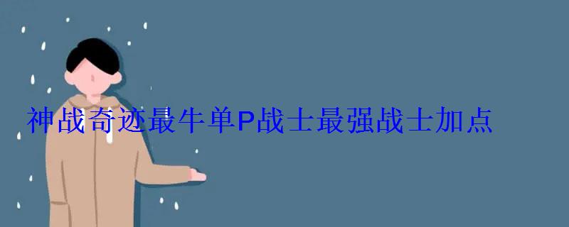 神战奇迹最牛单P战士最强战士加点 神战奇迹最牛单P战士最强战士加点