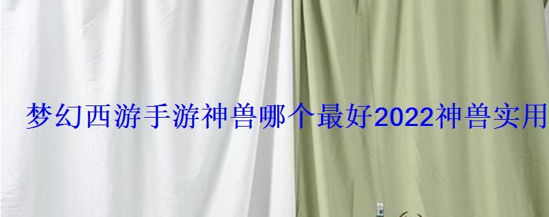 梦幻西游手游神兽哪个最好2022神兽实用排行 梦幻西游手游神兽哪个最好2022神兽实用排行