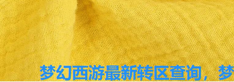 梦幻西游最新转区查询，梦幻西游端游转区查询