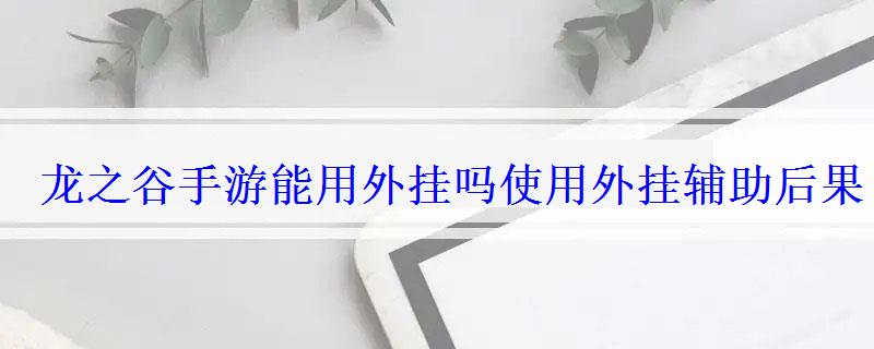 龙之谷手游能用外挂吗使用外挂辅助后果 龙之谷手游能用外挂吗使用外挂辅助后果