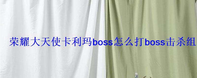 荣耀大天使卡利玛boss怎么打boss击杀组合推荐 荣耀大天使卡利玛boss怎么打boss击杀组合推荐
