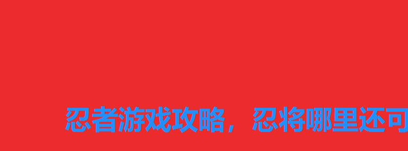 忍者游戏攻略,忍将哪里还可以玩 忍者游戏攻略,忍将哪里还可以玩