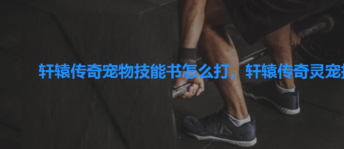 轩辕传奇宠物技能书怎么打,轩辕传奇灵宠技能书怎么合成 轩辕传奇宠物技能书怎么打,轩辕传奇灵宠技能书怎么合成