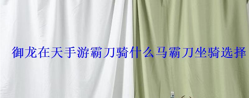 御龙在天手游霸刀骑什么马霸刀坐骑选择