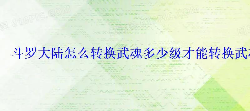 斗罗大陆怎么转换武魂多少级才能转换武魂