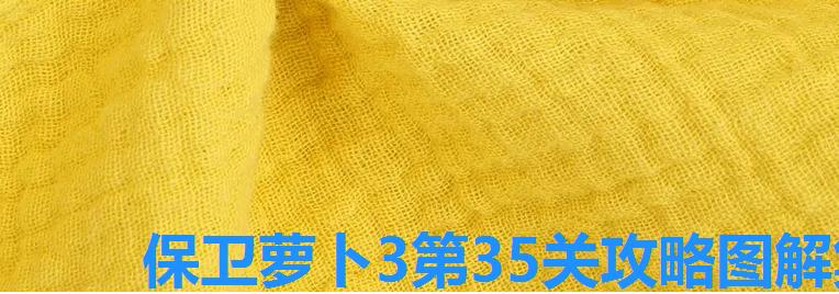 保卫萝卜3第35关攻略图解集市,保卫萝卜3的35关攻略 保卫萝卜3第35关攻略图解集市,保卫萝卜3的35关攻略