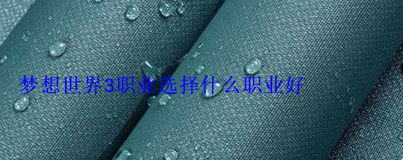梦想世界3职业选择什么职业好 梦想世界3职业选择什么职业好
