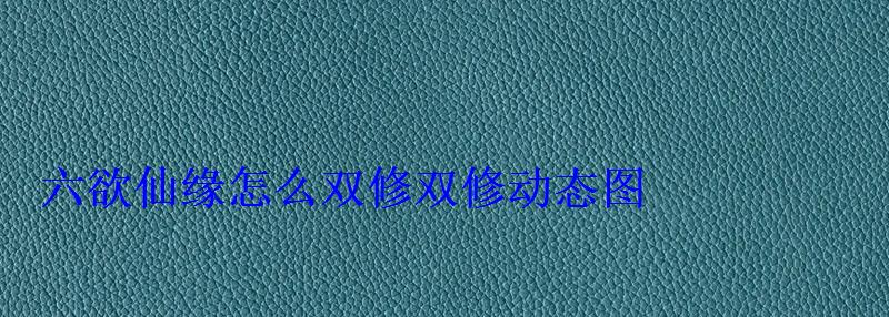 六欲仙缘怎么双修双修动态图 六欲仙缘怎么双修双修动态图