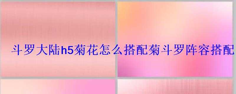 斗罗大陆h5菊花怎么搭配菊斗罗阵容搭配 斗罗大陆h5菊花怎么搭配菊斗罗阵容搭配
