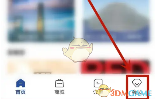 会员项目页面