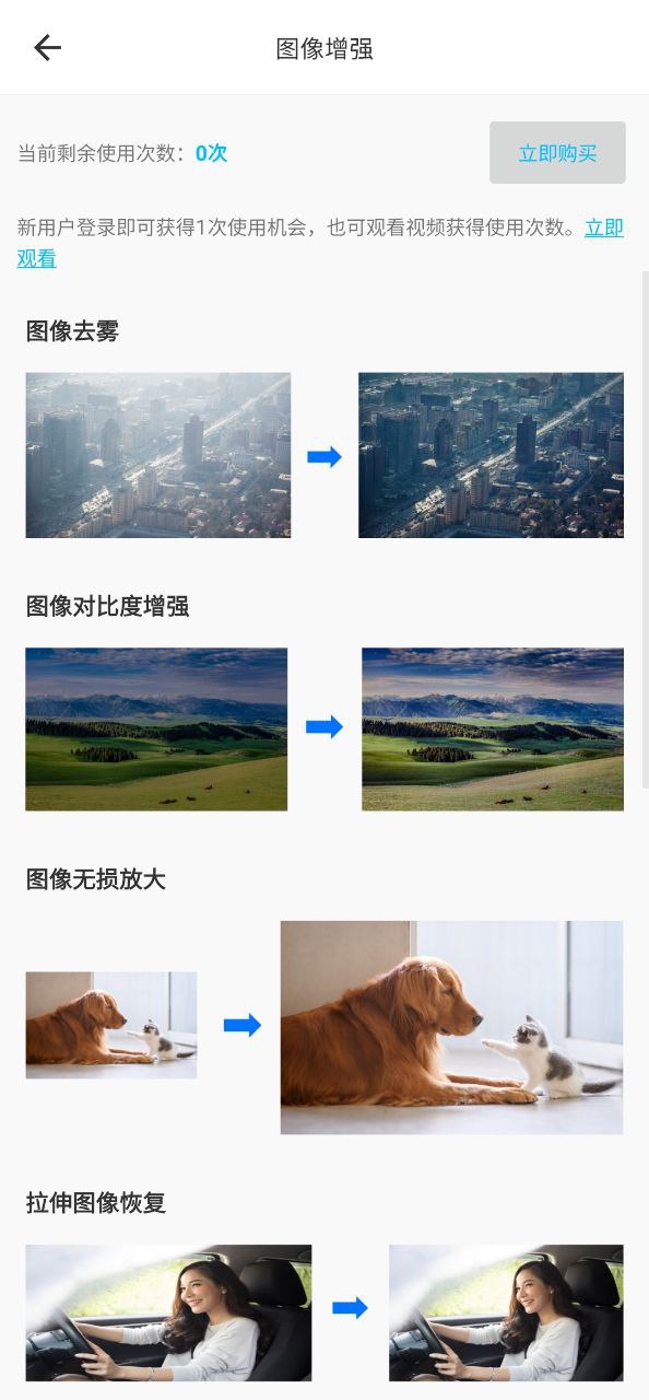 小鲸鱼