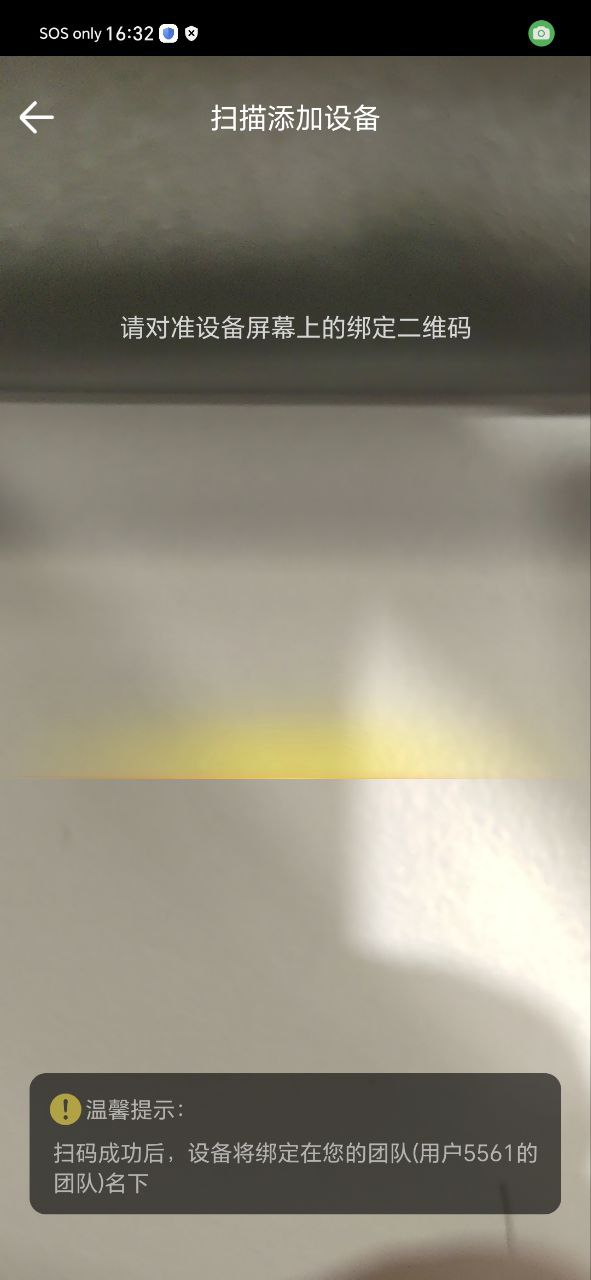 虎芒