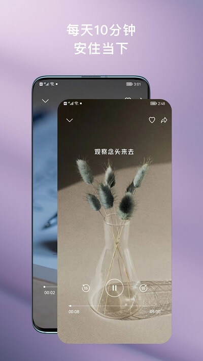 flow冥想网站最新版下载_flow冥想网站登录v3.0.0