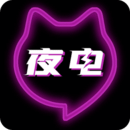 夜电app下载安装最新版_夜电应用安卓版下载v1.9.9