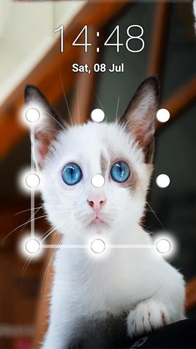 猫图案锁登陆注册_猫图案锁手机版app注册v6.8