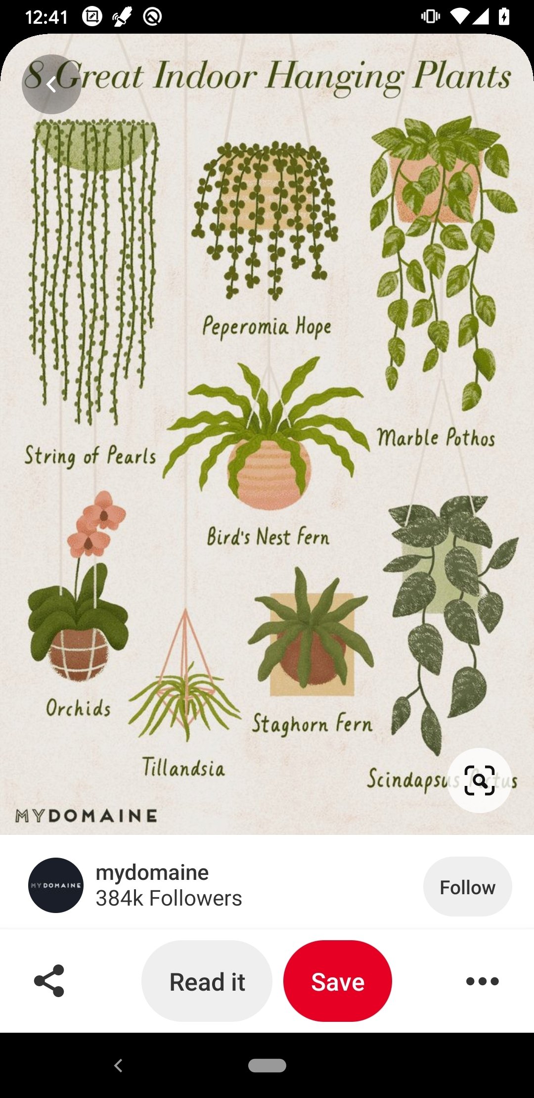 pinterest