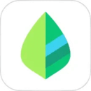 薄荷记账app下载安装最新版_薄荷记账应用安卓版下载v10.5.8