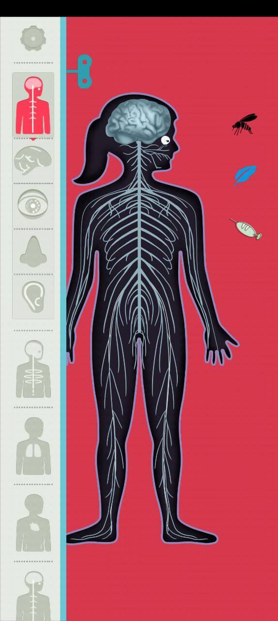 人体探秘app_人体探秘安卓软件免费版v1.0