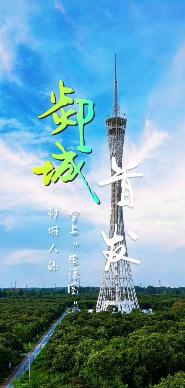 智慧郯城手机下载安装_智慧郯城app手机版v0.0.32