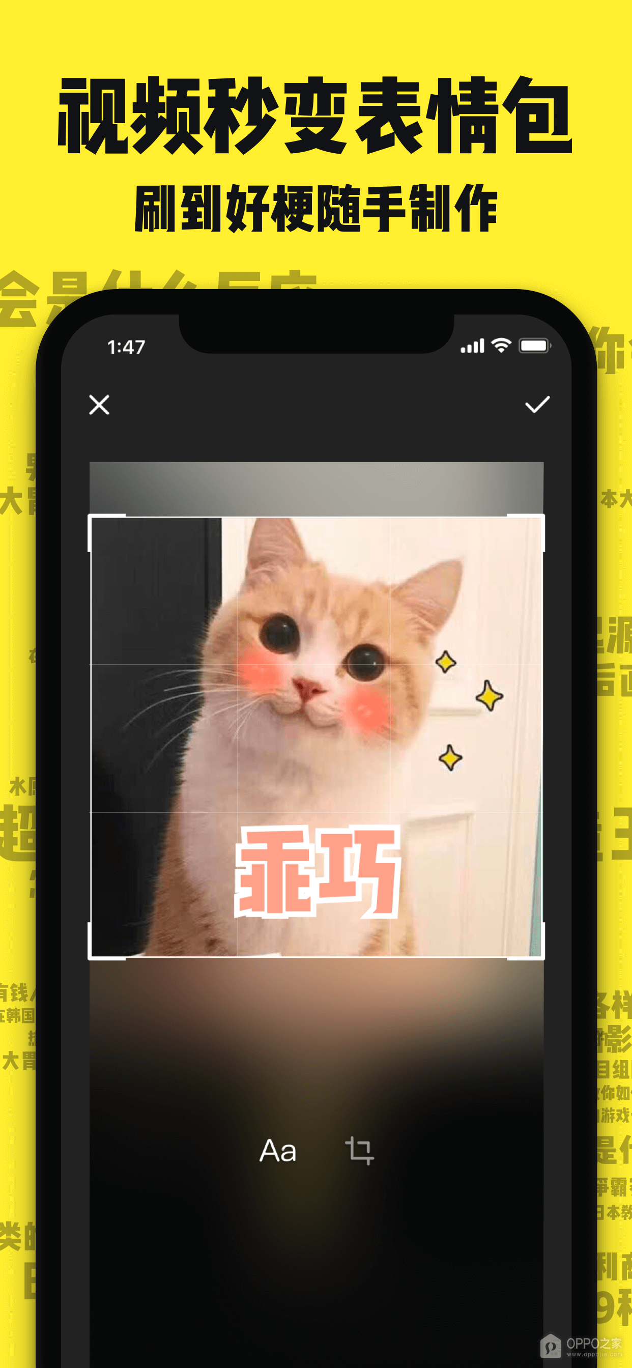 刷刷看2024最新版_刷刷看安卓软件下载v1.3.3