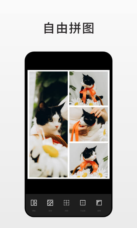 Fotor最新版软件_最新正版Fotorv7.4.2.1133