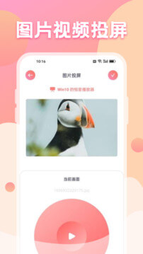 黑猫影视app免费版_下载黑猫影视免费v1.2