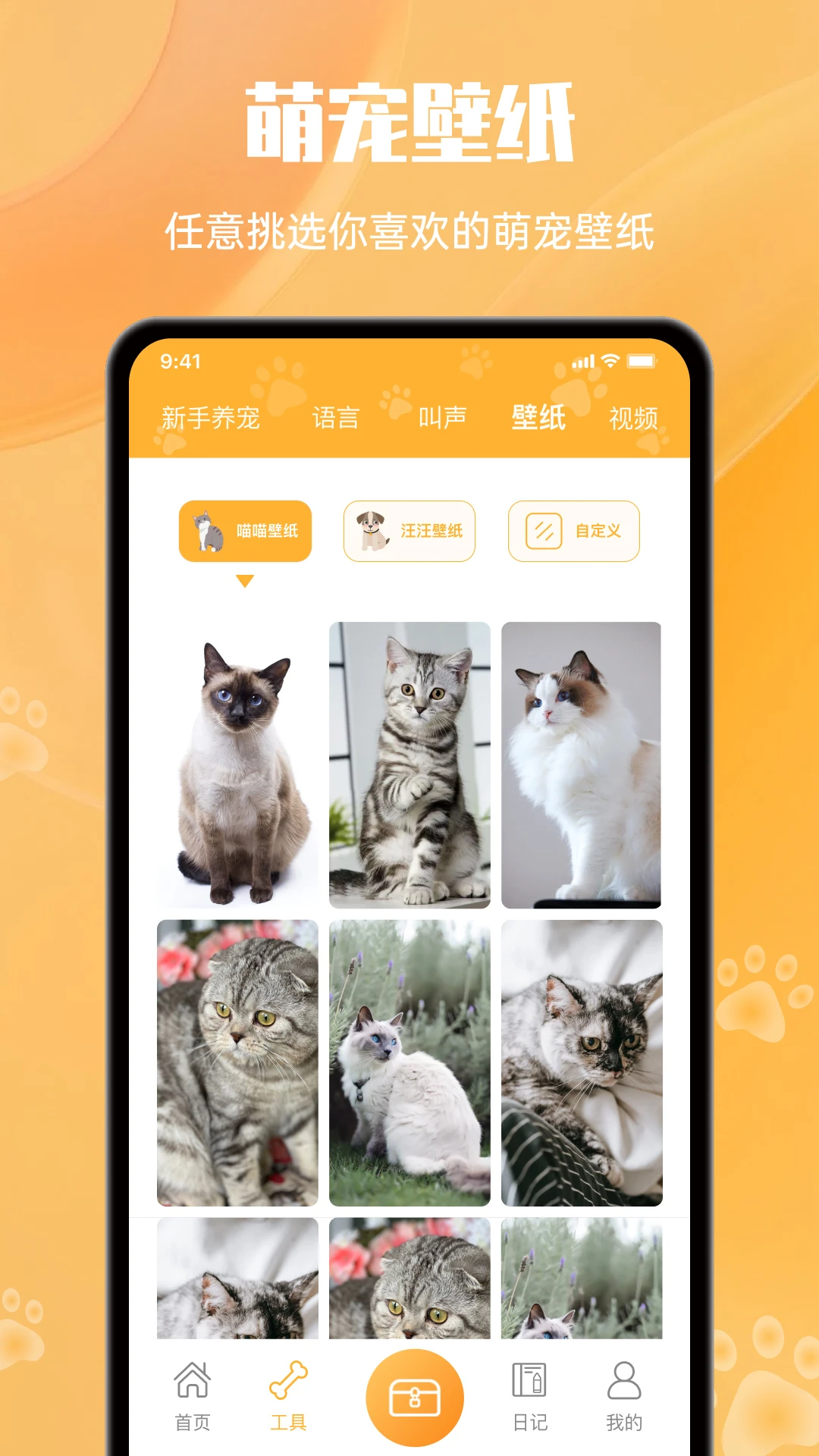 网喵新版2025_手机版网喵v1.0.6