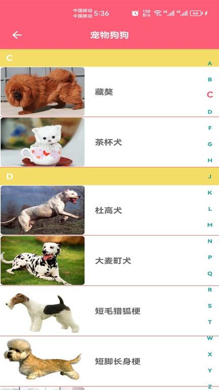 宠物宝宝大全最新版本下载_最新宠物宝宝大全appv1.008