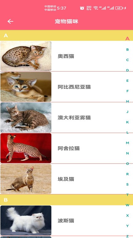 宠物宝宝大全最新版本下载_最新宠物宝宝大全appv1.008