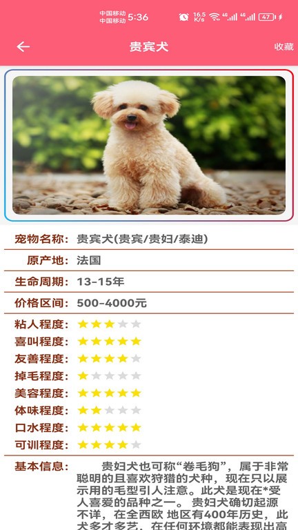 宠物宝宝大全最新版本下载_最新宠物宝宝大全appv1.008