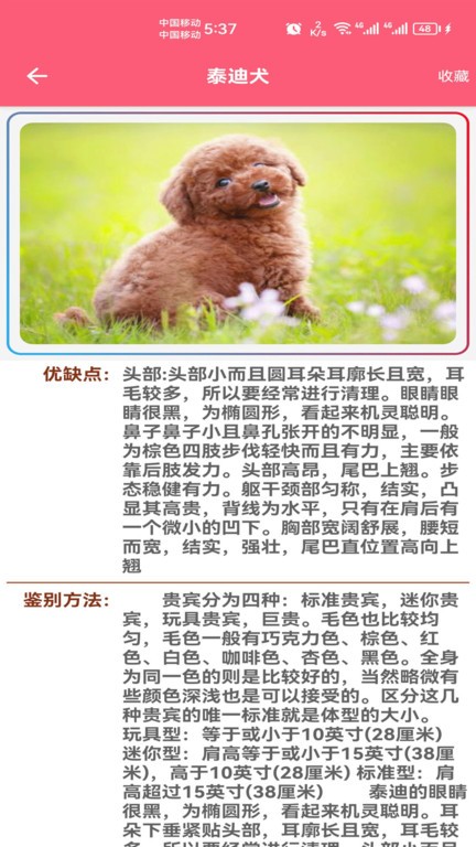 宠物宝宝大全最新版本下载_最新宠物宝宝大全appv1.008