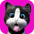 我的收养猫咪升级版-我的收养猫咪红包版下载 v3.4