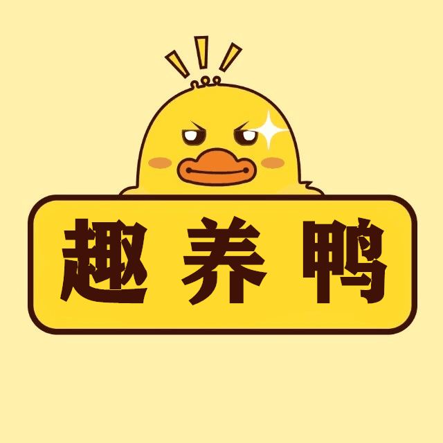 趣养鸭下载_趣养鸭下载安卓版_趣养鸭下载app下载