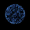 Fireworks Tap手游下载_Fireworks Tap手游下载最新版下载