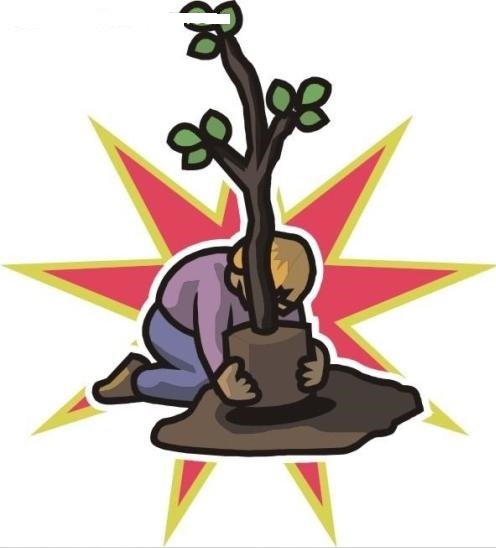 福气果种树邀请码_福气果种树邀请码手机版_福气果种树邀请码ios版下载