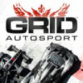 grid游戏安卓_grid游戏安卓中文版下载_grid游戏安卓积分版