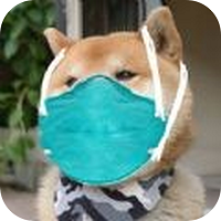 口罩护目镜头像生成器下载_口罩护目镜头像生成器下载官网下载手机版_口罩护目镜头像生成器下载ios版
