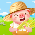 金币养猪场红包版赚钱_金币养猪场红包版赚钱手机游戏下载_金币养猪场红包版赚钱安卓版下载V1.0