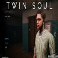 孪生灵魂twin soul游戏