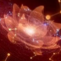 Cyberverse地图下载|Cyberverse app下载v1.0.31