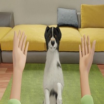 云养狗模拟器Dog Trainer游戏|云养狗模拟器手机版