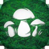 蘑菇猎人下载_蘑菇猎人下载安卓版下载_蘑菇猎人下载ios版
